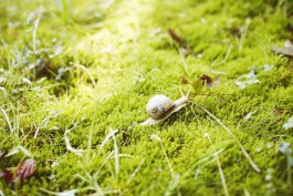 Selina Pfrüner Fotografie