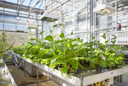 Selina Pfrüner Fotografie