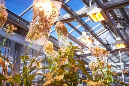 Selina Pfrüner Fotografie