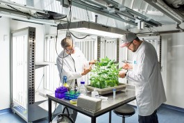 Selina Pfrüner Fotografie