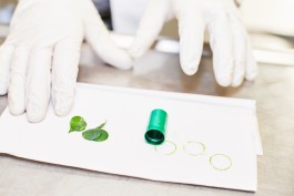 Selina Pfrüner Fotografie