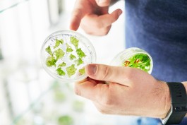 Selina Pfrüner Fotografie