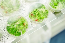 Selina Pfrüner Fotografie