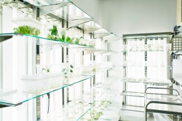 Selina Pfrüner Fotografie