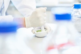 Selina Pfrüner Fotografie