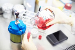 Selina Pfrüner Fotografie