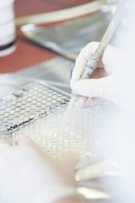 Selina Pfrüner Fotografie