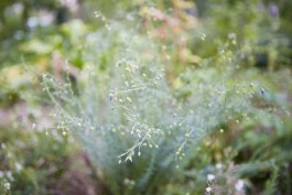 Selina Pfrüner Fotografie