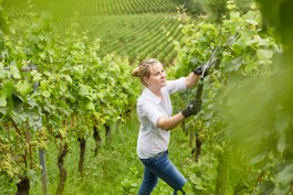 Selina Pfrüner Fotografie