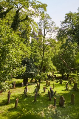 Selina Pfrüner Fotografie