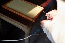 Selina Pfrüner Fotografie