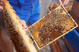 Selina Pfrüner Fotografie