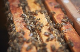 Selina Pfrüner Fotografie