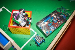 Selina Pfrüner Fotografie