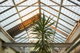 Selina Pfrüner Fotografie