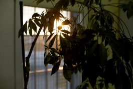 Selina Pfrüner Fotografie