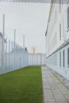 Selina Pfrüner Fotografie