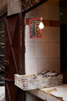 Selina Pfrüner Fotografie