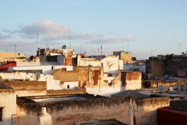 Selina Pfrüner Fotografie