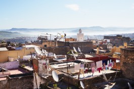 Selina Pfrüner Fotografie