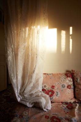 Selina Pfrüner Fotografie