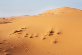 Selina Pfrüner Fotografie