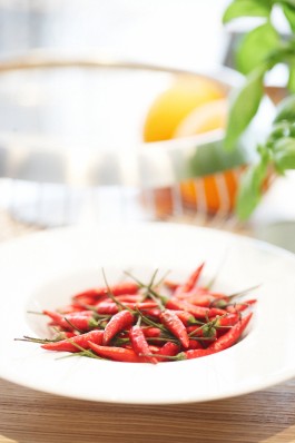 Selina Pfrüner Fotografie