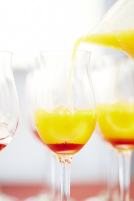 Selina Pfrüner Fotografie