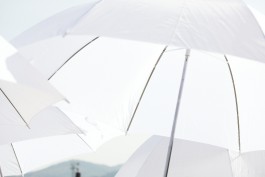 Selina Pfrüner Fotografie