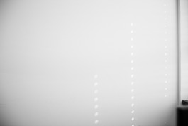 Selina Pfrüner Fotografie