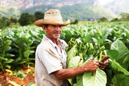 Selina Pfrüner Fotografie