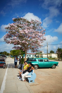 Selina Pfrüner Fotografie