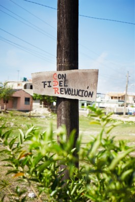 Selina Pfrüner Fotografie