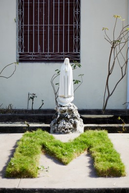 Selina Pfrüner Fotografie