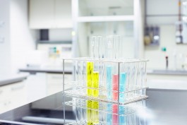 Selina Pfrüner Fotografie