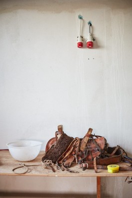 Selina Pfrüner Fotografie