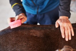 Selina Pfrüner Fotografie