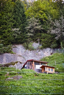 Selina Pfrüner Fotografie