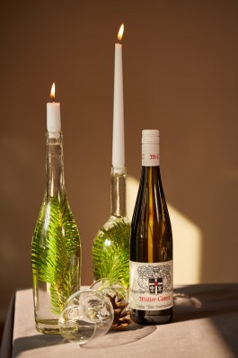 Selina Pfrüner Fotografie